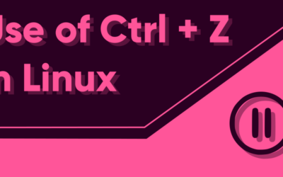 What does Ctrl + Z do in Linux?
