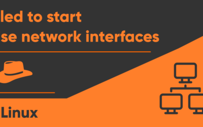‘Failed to start raise network interfaces’ in Linux