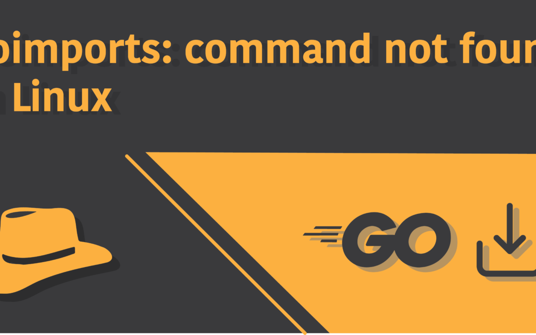Fix ‘goimports: command not found’ in Linux